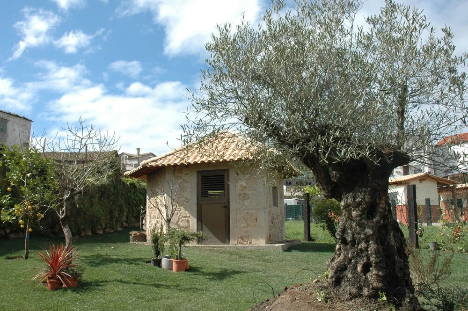 Hotel Apartamento Marouco