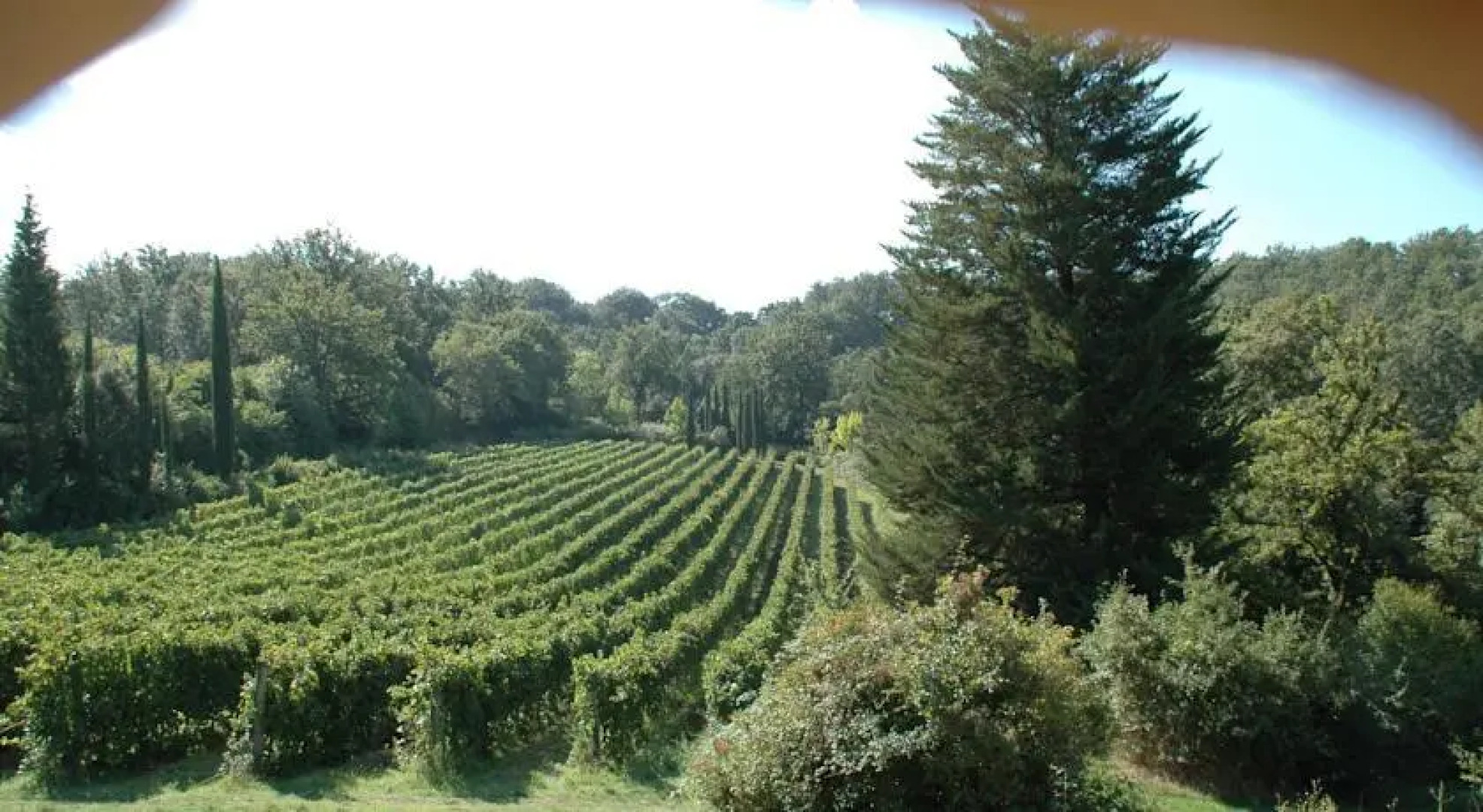 Villa Roma Imperiale