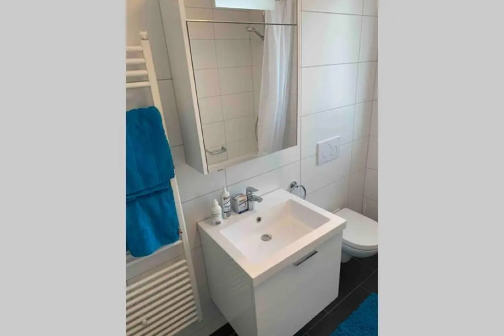 Apartment Säntisblick in Arbon von Swisspartments