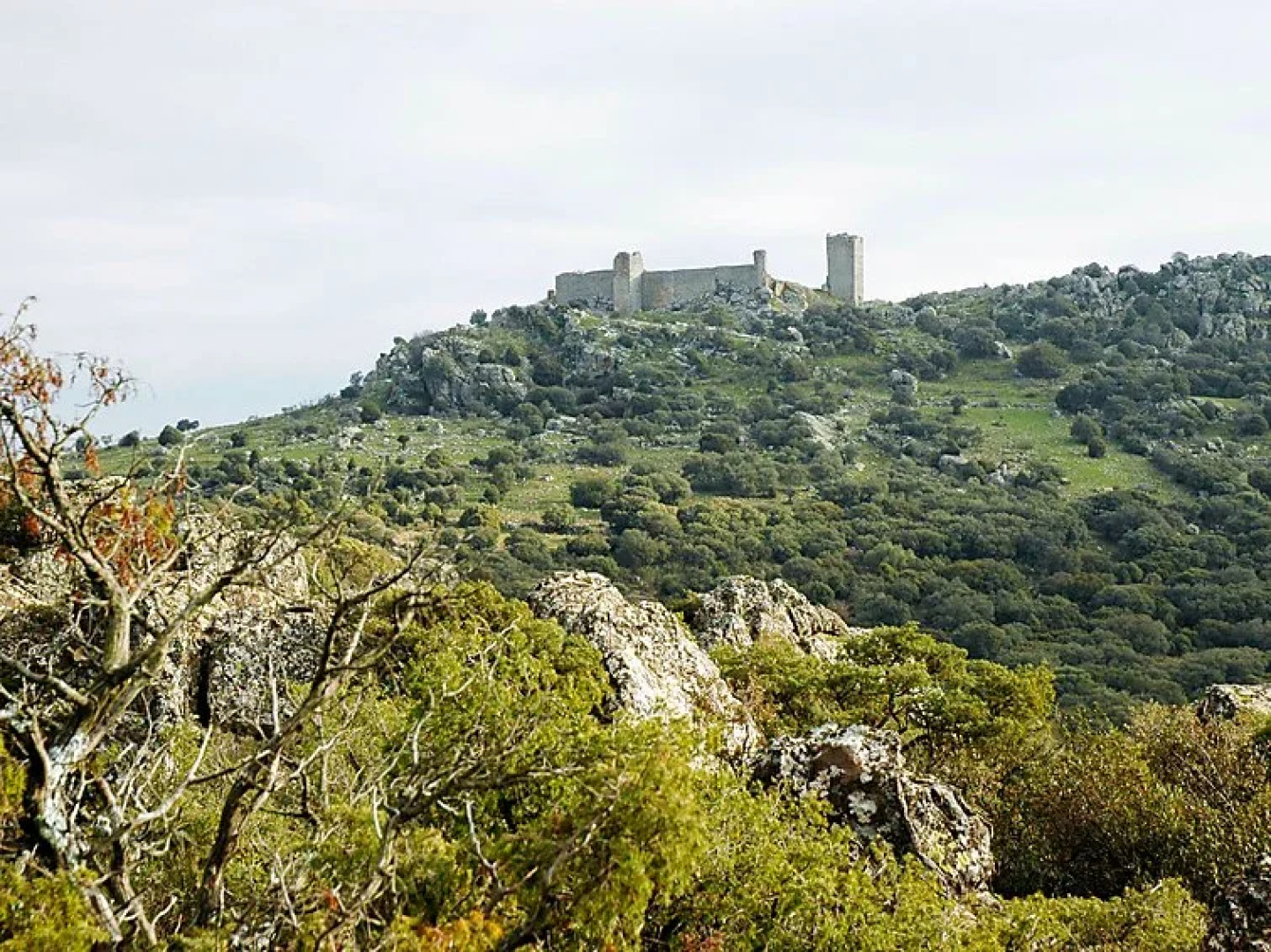 Cortijo del Zoco Bajo