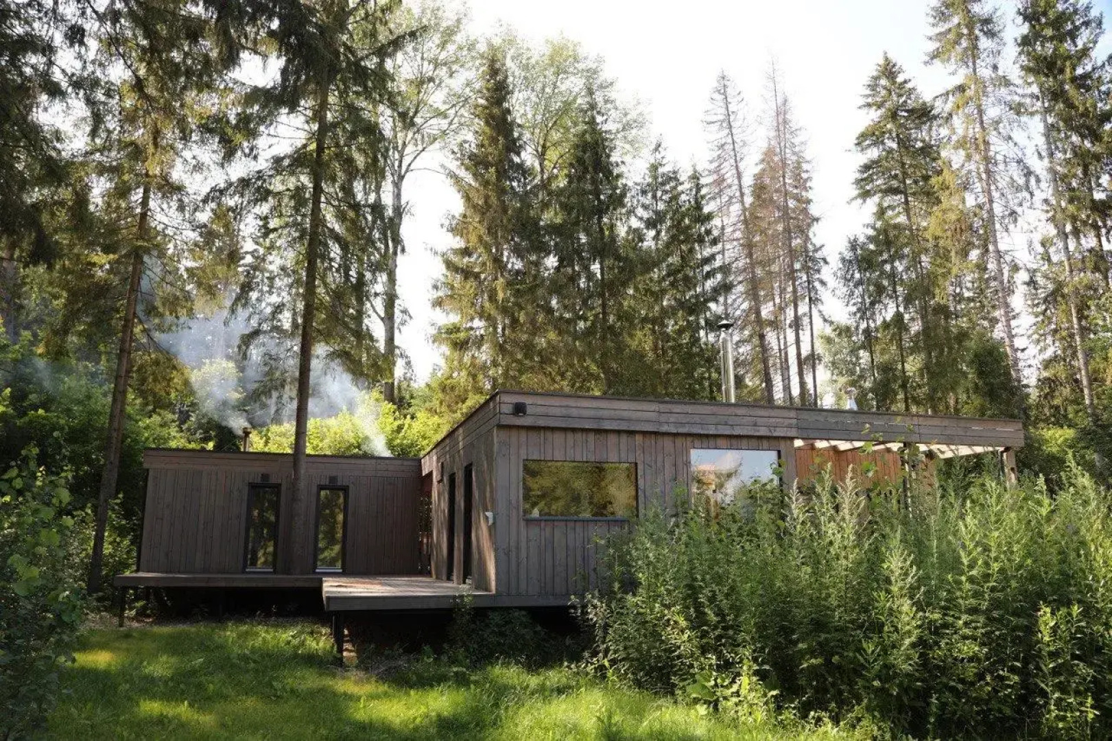 Шале в хвойном лесу