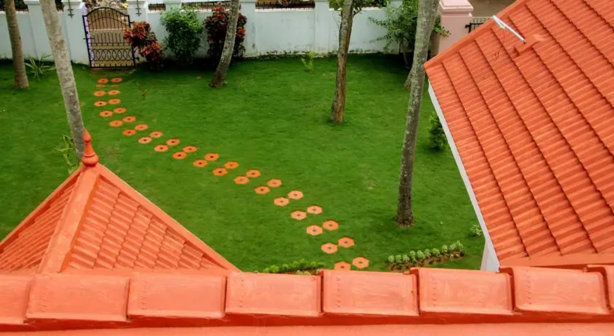 Vedanta Wake up! on the sunny cliffs, Varkala