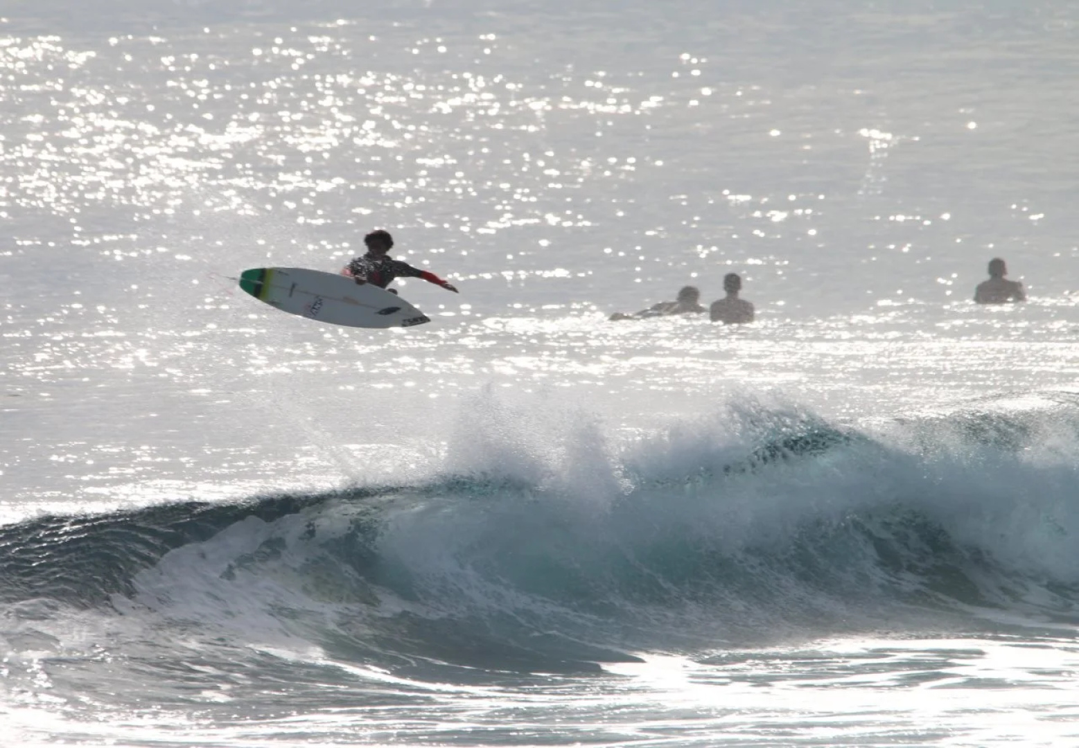 Turtle Surf Camp