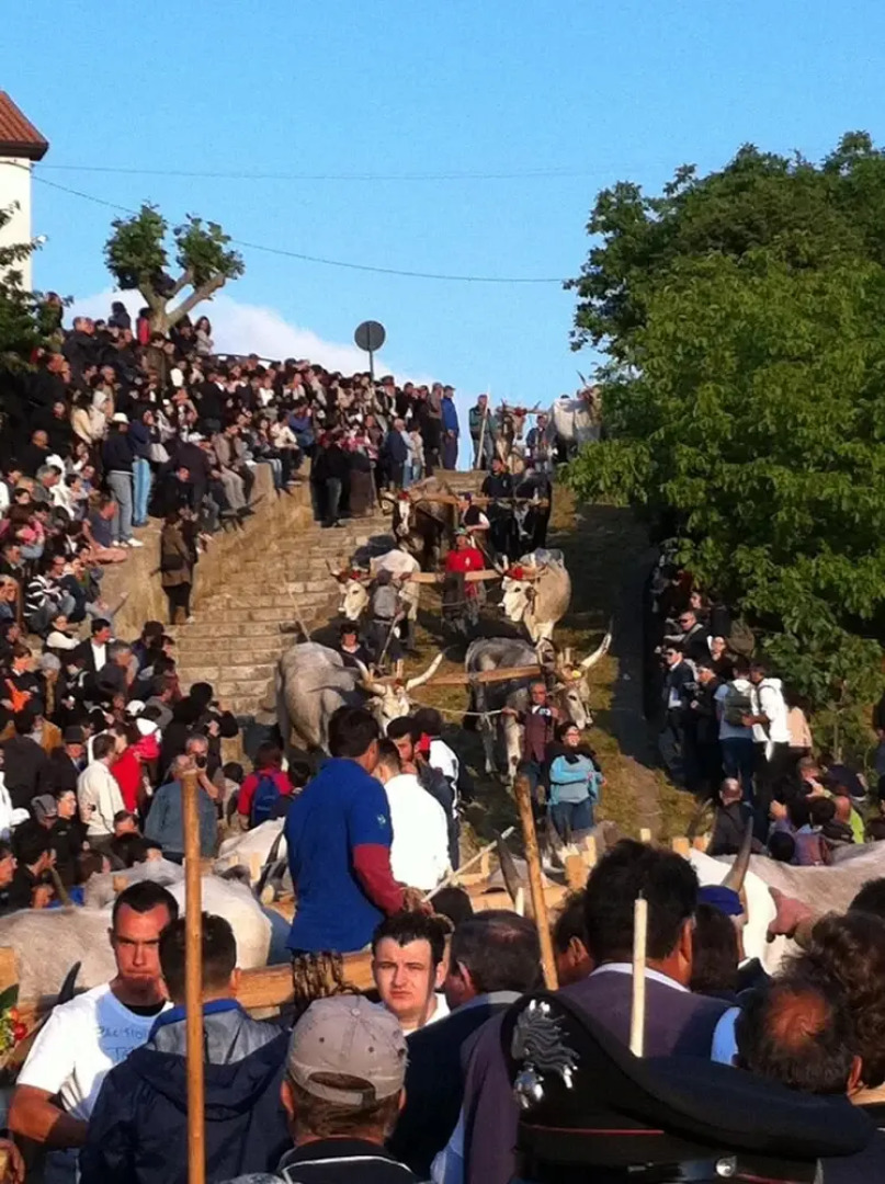 La Cantina del Convento
