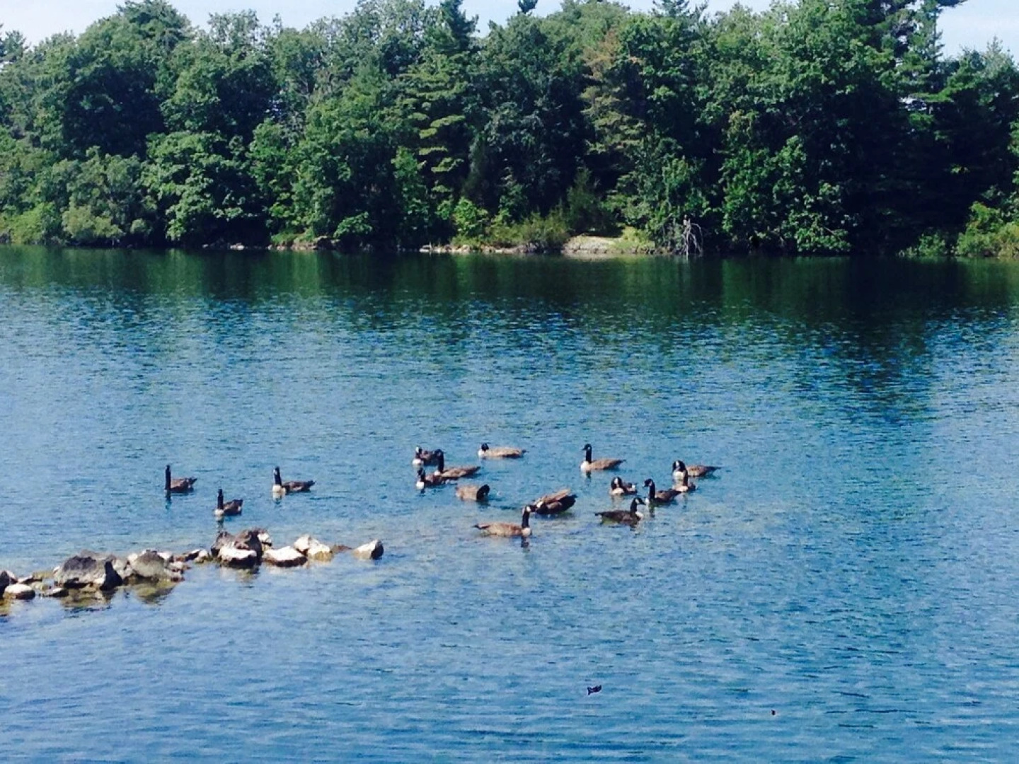 Watermark Waterfront Cottages