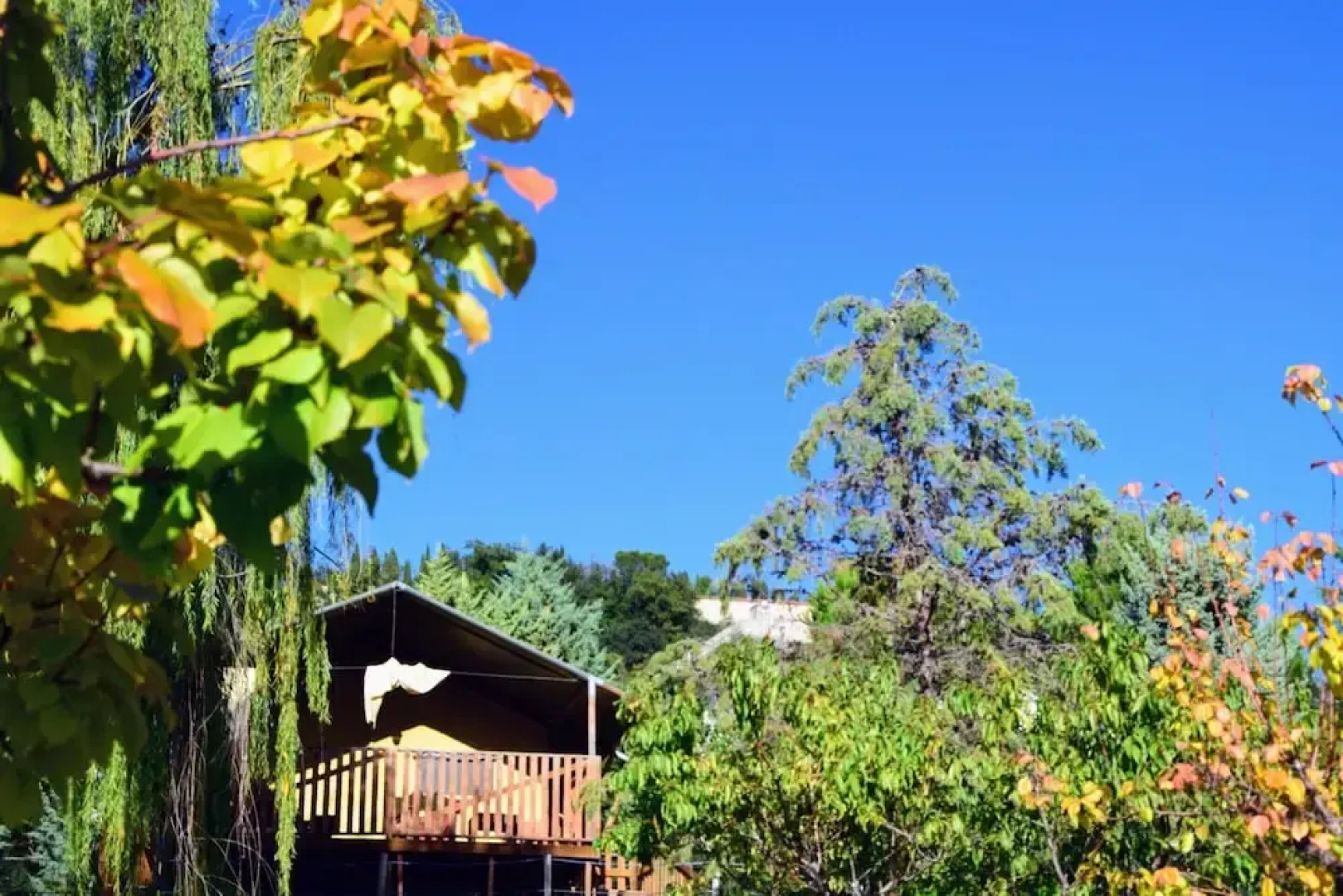 Apartment in a Farmhouse With Swimming Pool