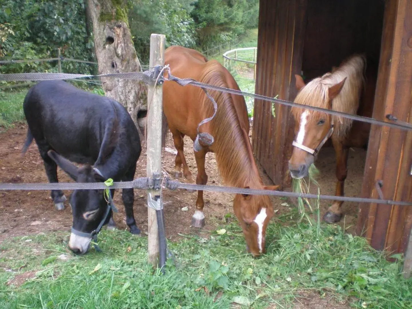 Romantic Studio Vacances