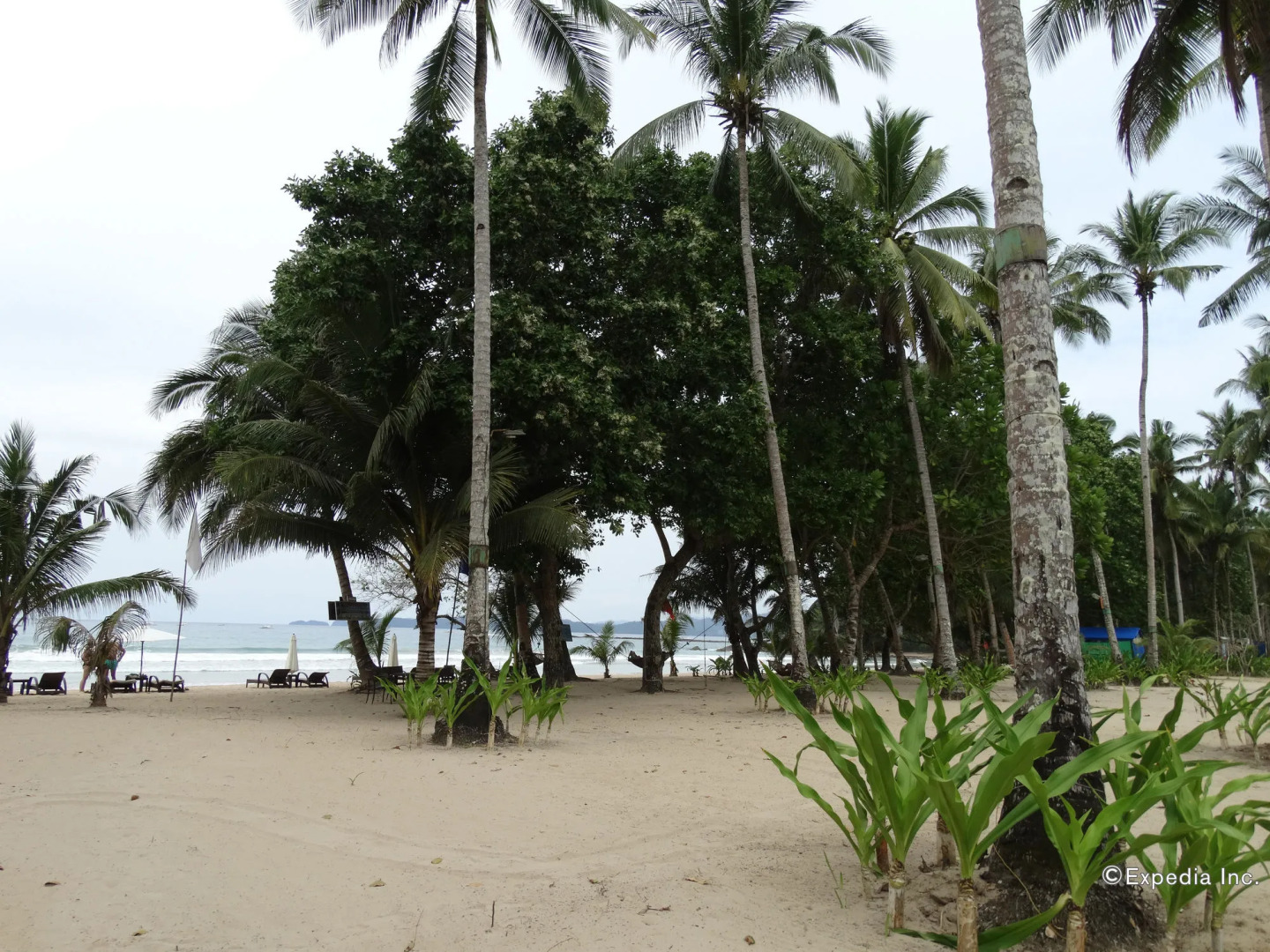 Daluyon Beach and Mountain Resort
