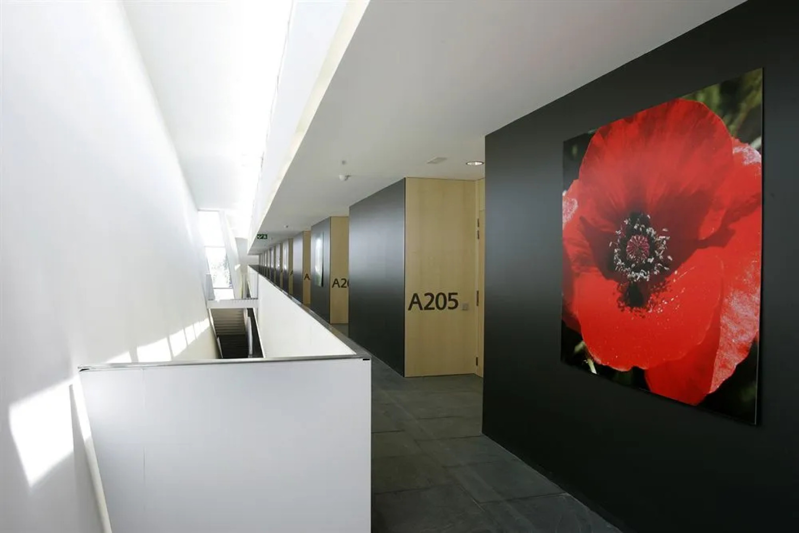 Centre Esplai Hostel