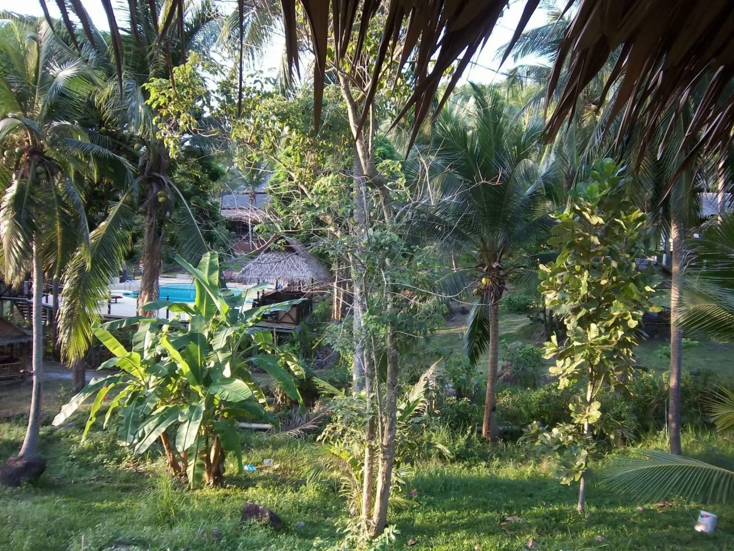 Shiralea Island Resort