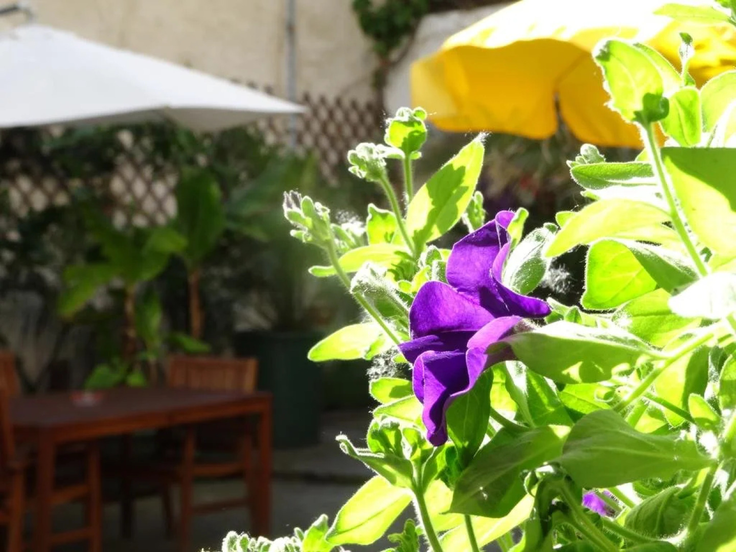 Gstehaus auf der Kunstmeile