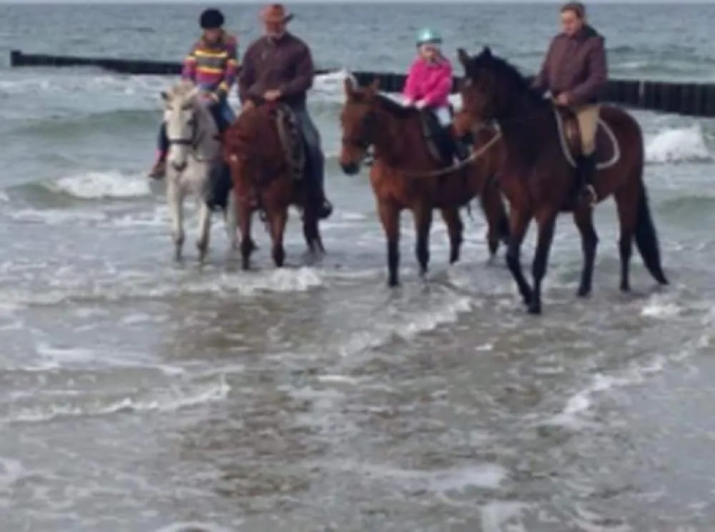 Ferienpark Markgrafenheide