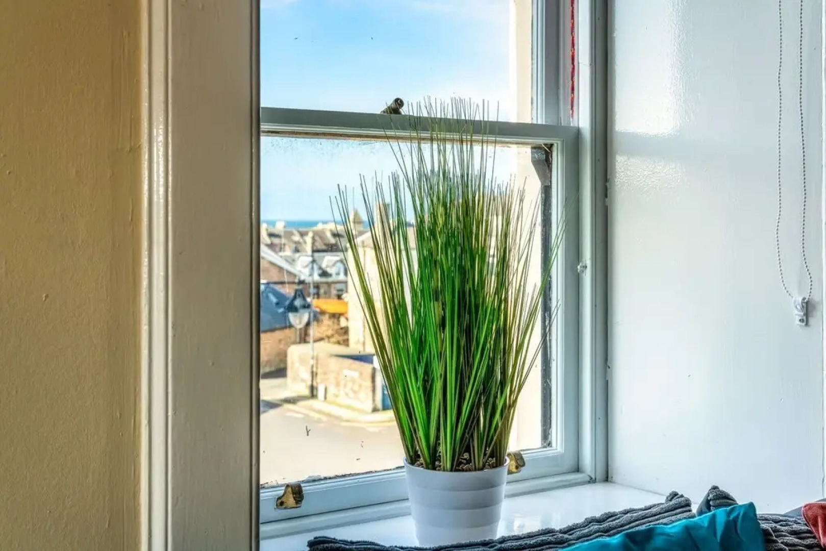 Charlotte's Apartment D