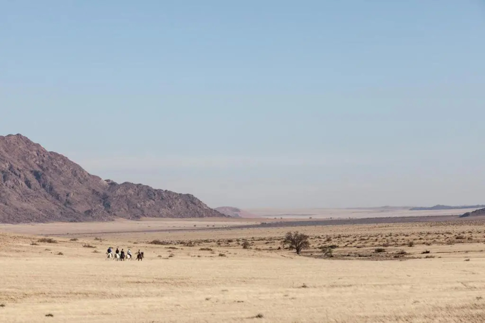 Desert Homestead Lodge