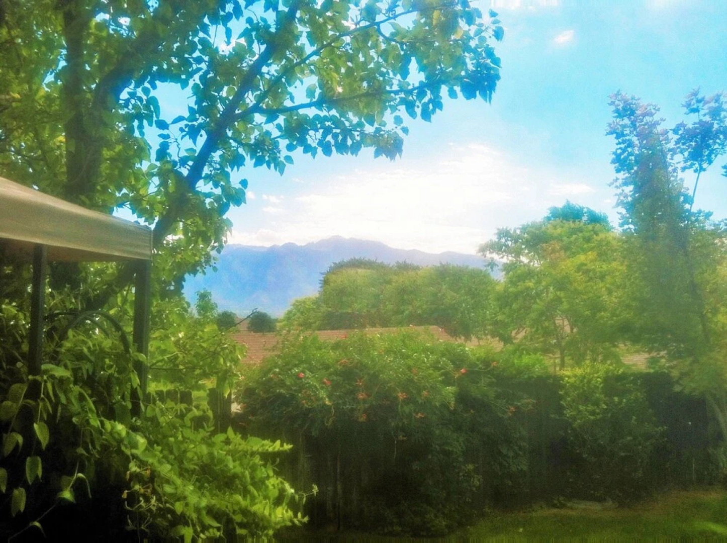 Huge 5-BR Home Just South of the City