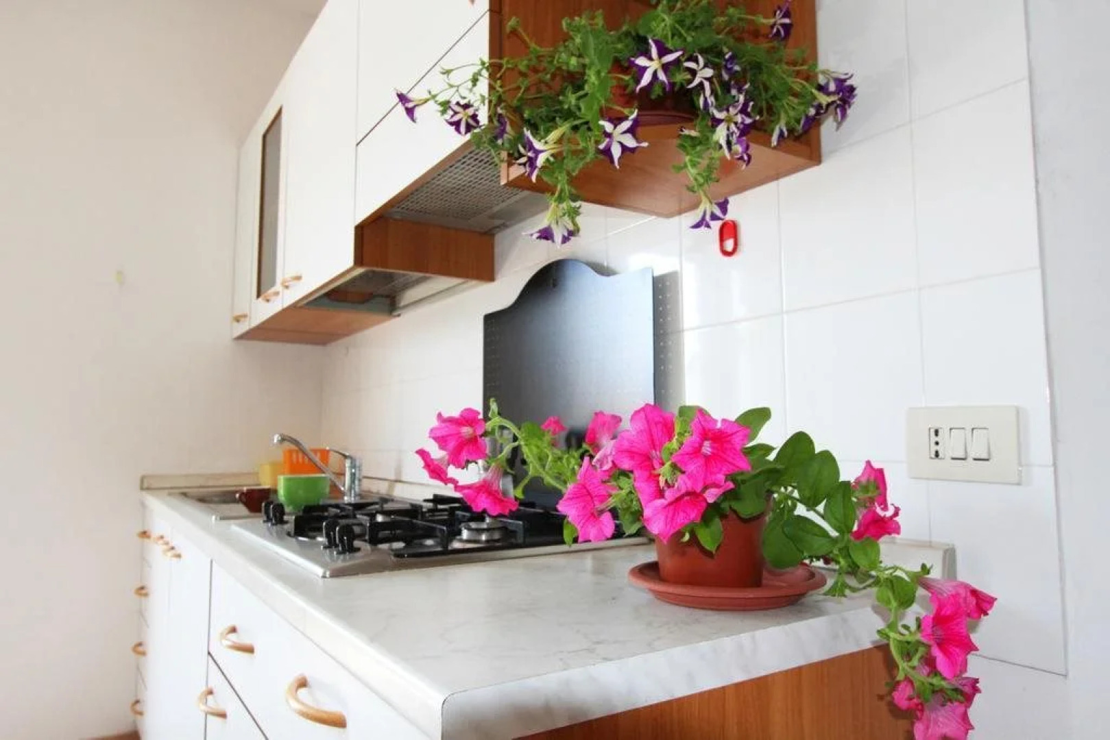 Residence Parco Delle Rose