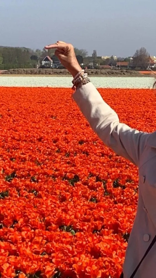 Pirombo Bed & Breakfast