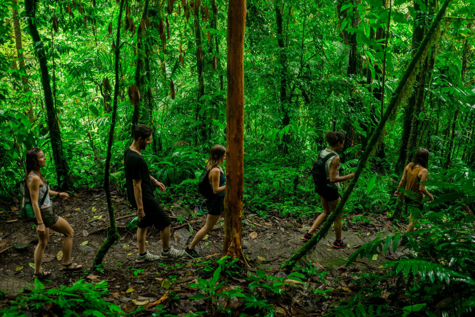 Vida Mountain Resort & Spa - Adults Only