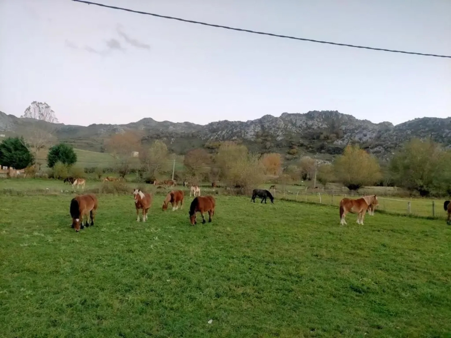 Turismo en Babia Bajo los nidos