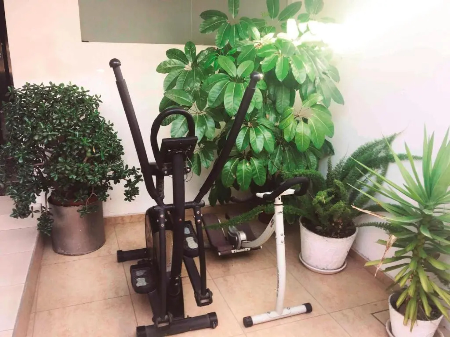 Ayli Apart Hotel