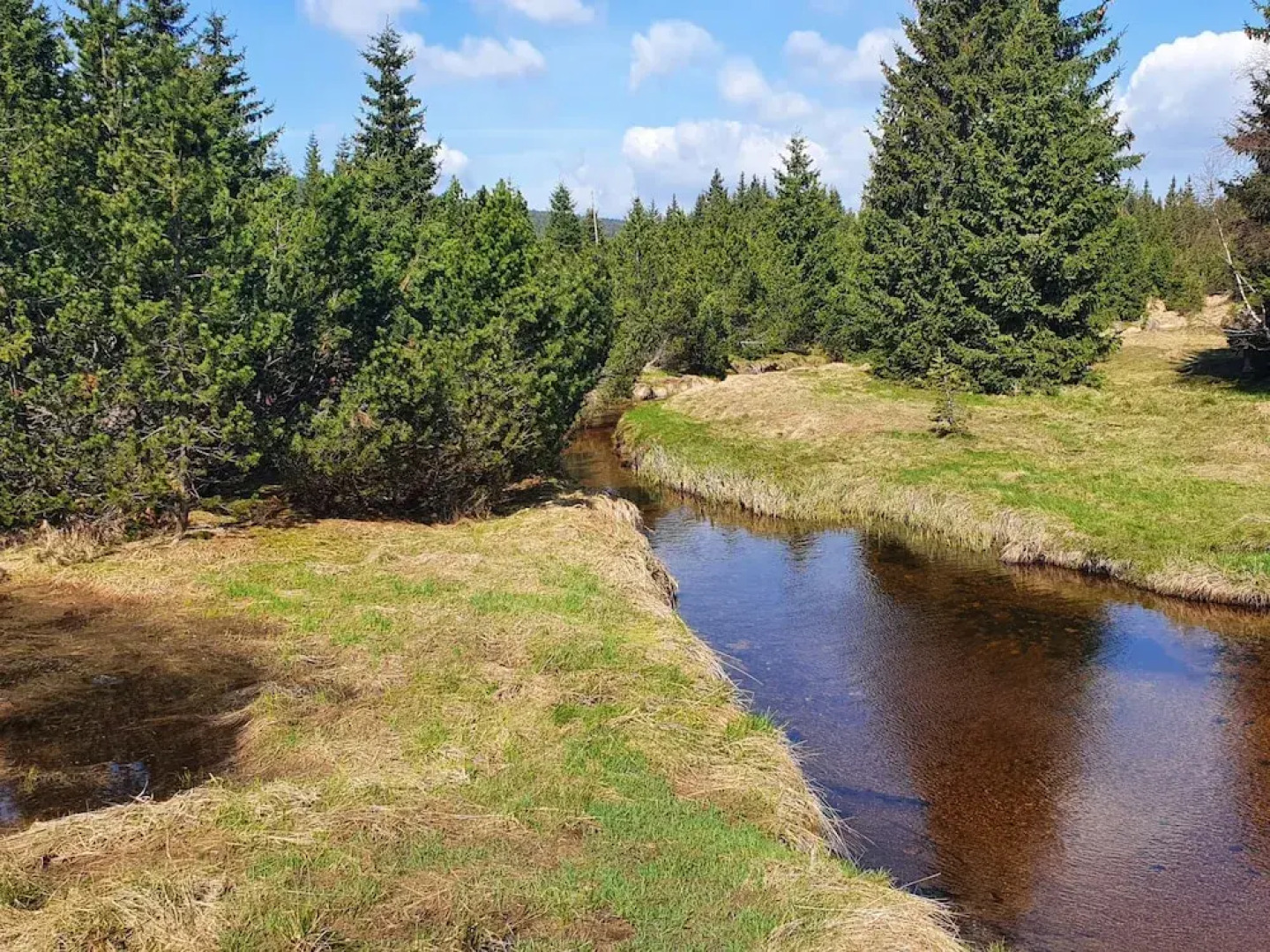 Villa in Bedrichov Near ski Resort