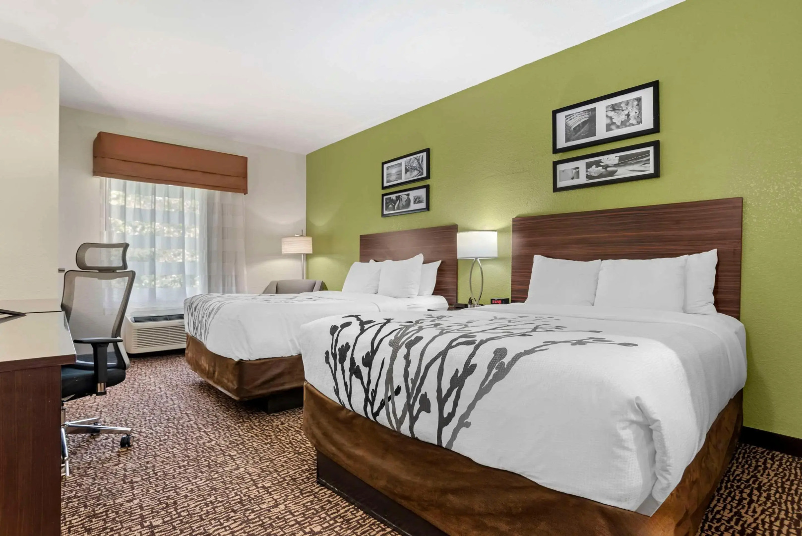 Sleep Inn & Suites Montgomery East I-85