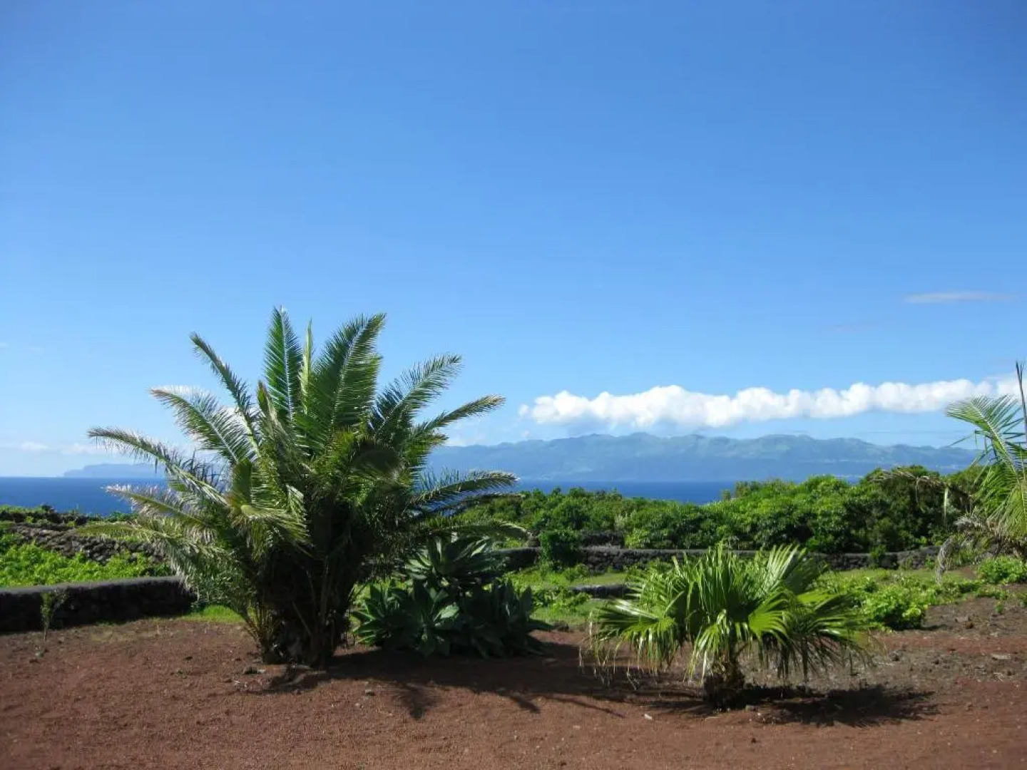 House With 2 Bedrooms in Baixa, With Wonderful sea View and Enclosed G