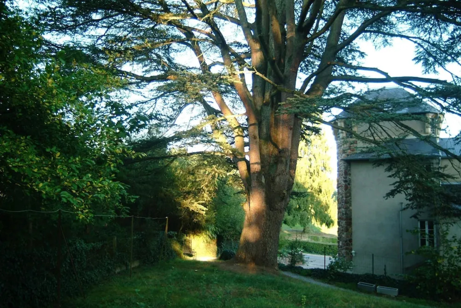 Chambres dHôtes Castel Des Cèdres