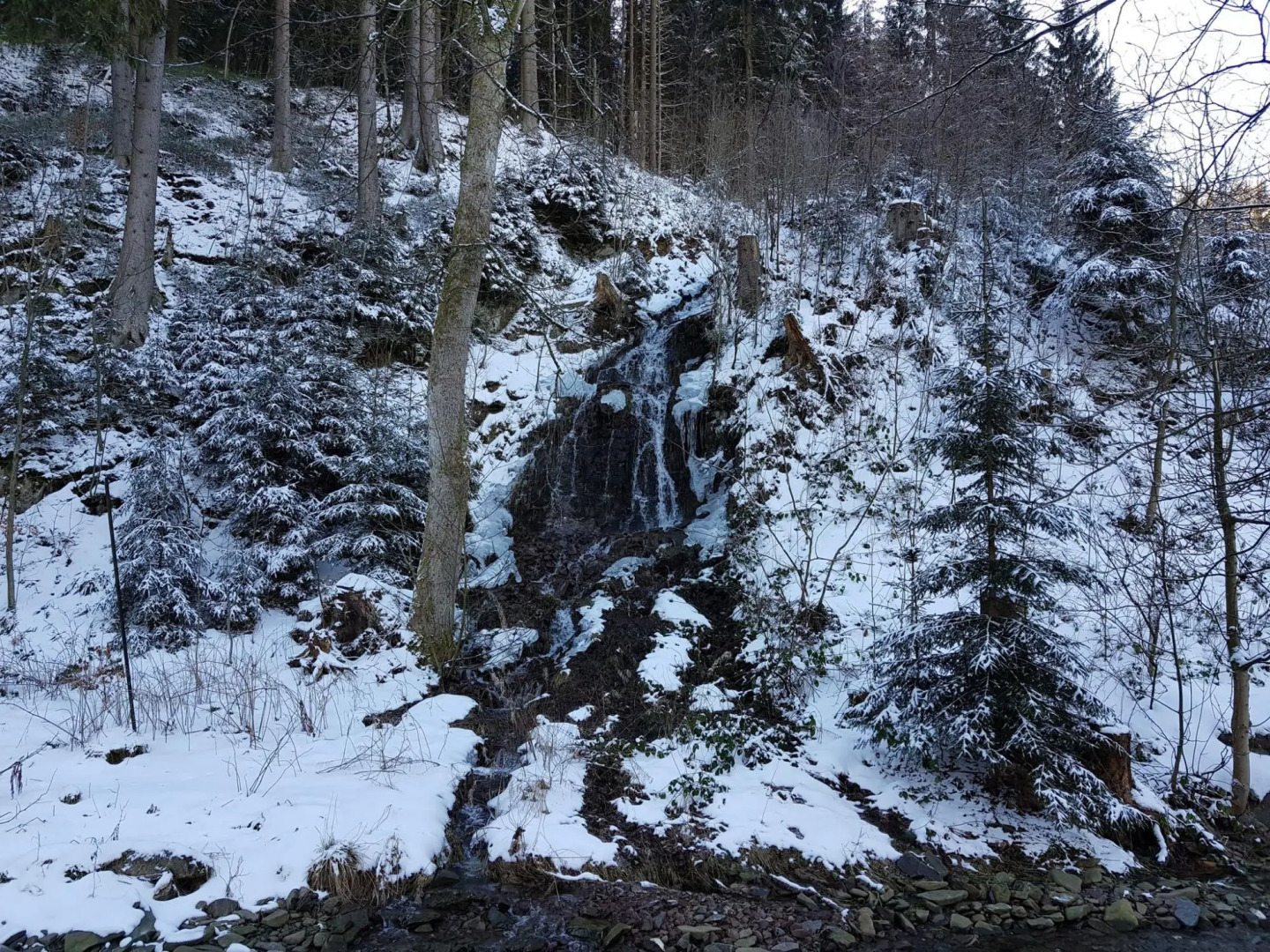 Alpine Escape in Wildemann