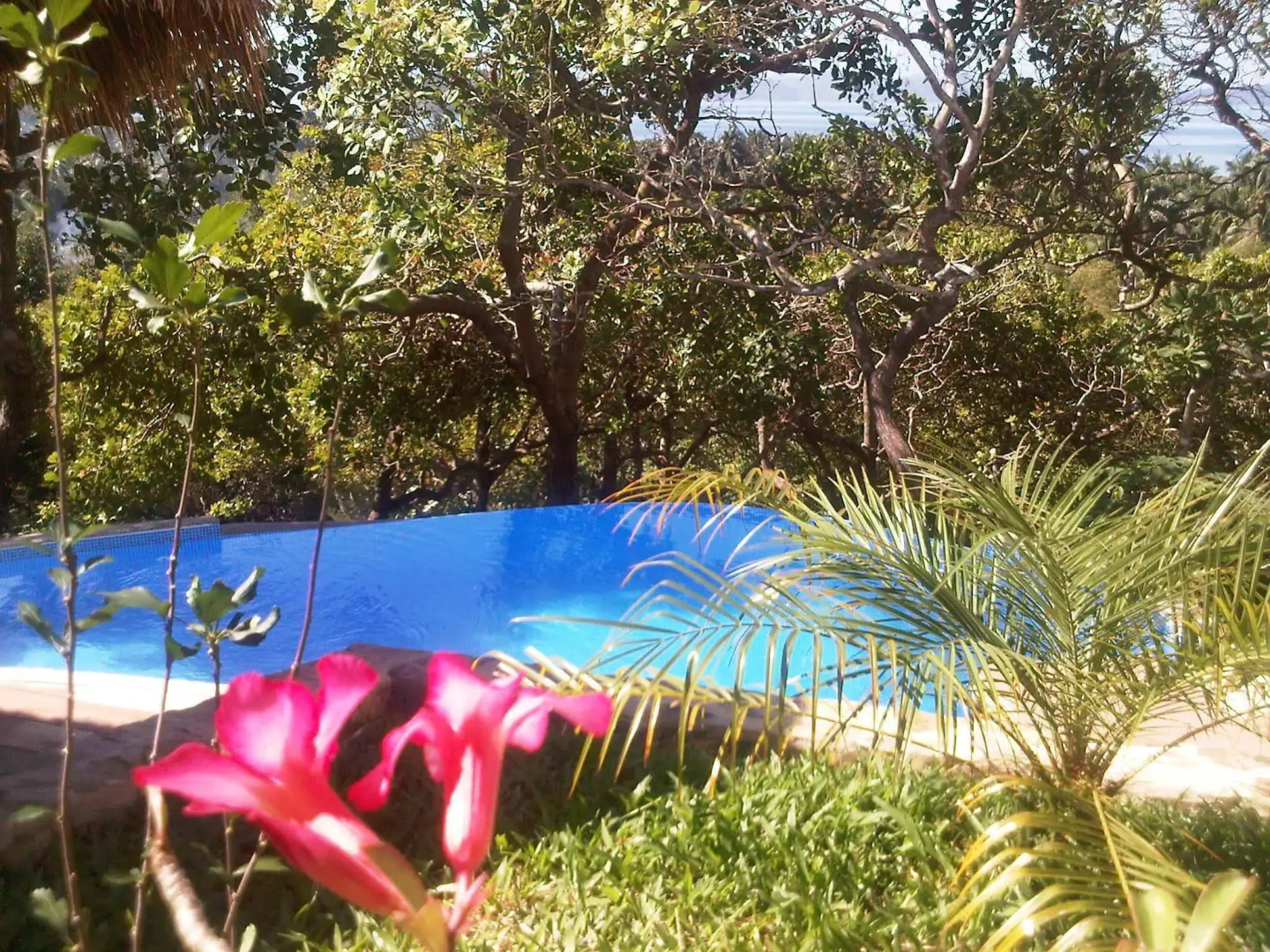 El Nido Overlooking Resort