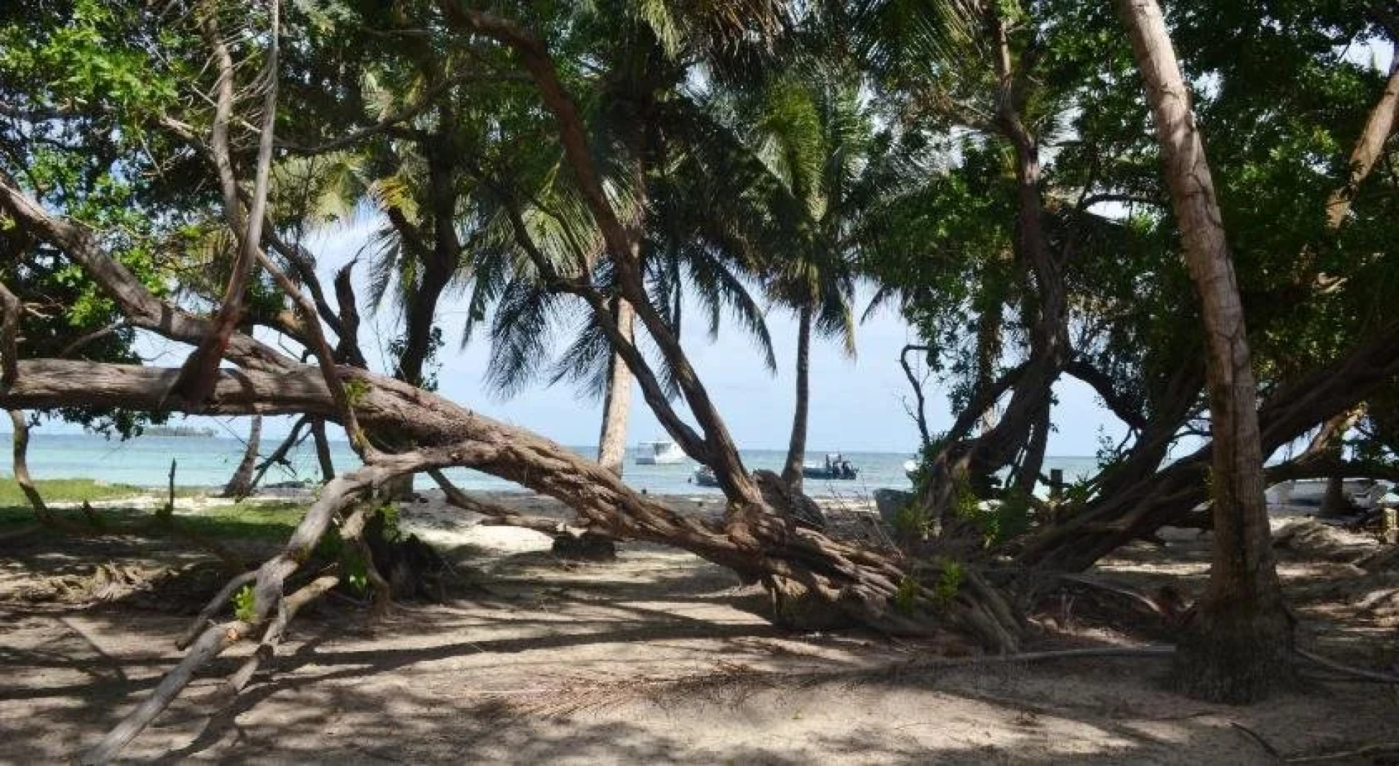 Islander House on Rocky Cay Beach
