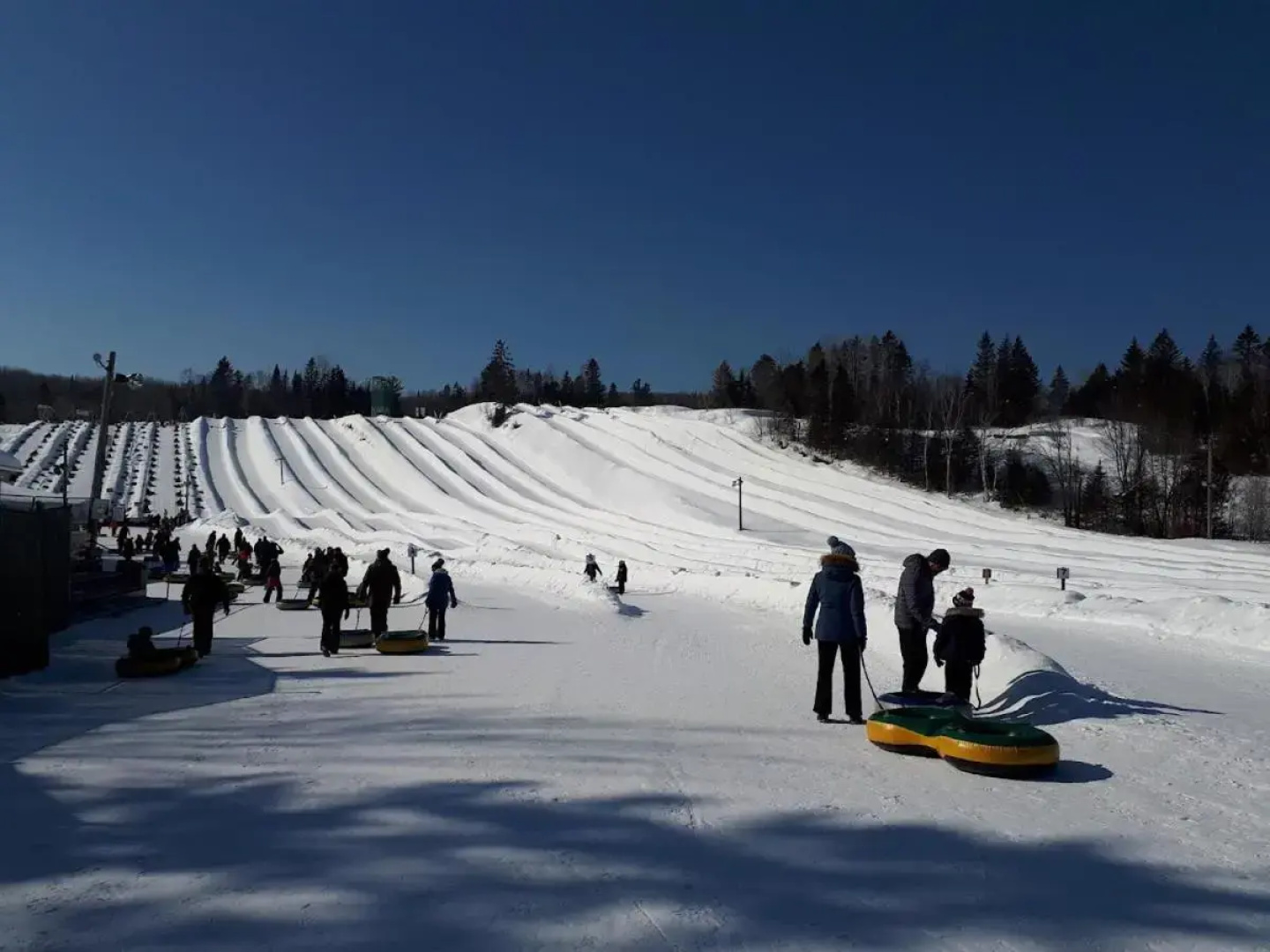 Les Rois de la Montagne