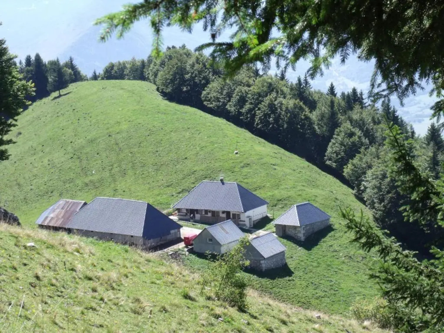 Serenella fontaine Et Coquelicots