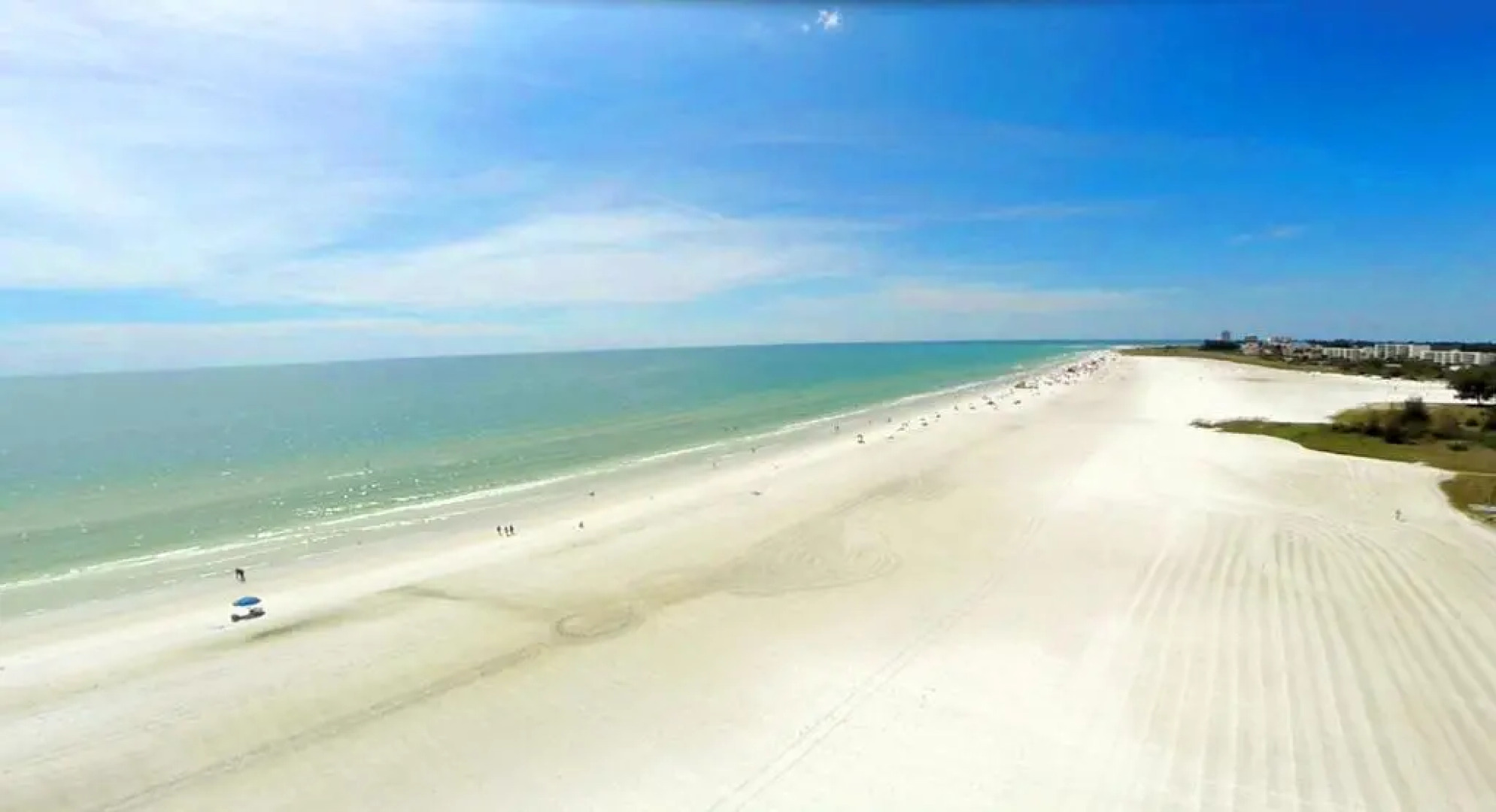 Tropical Fruit Garden