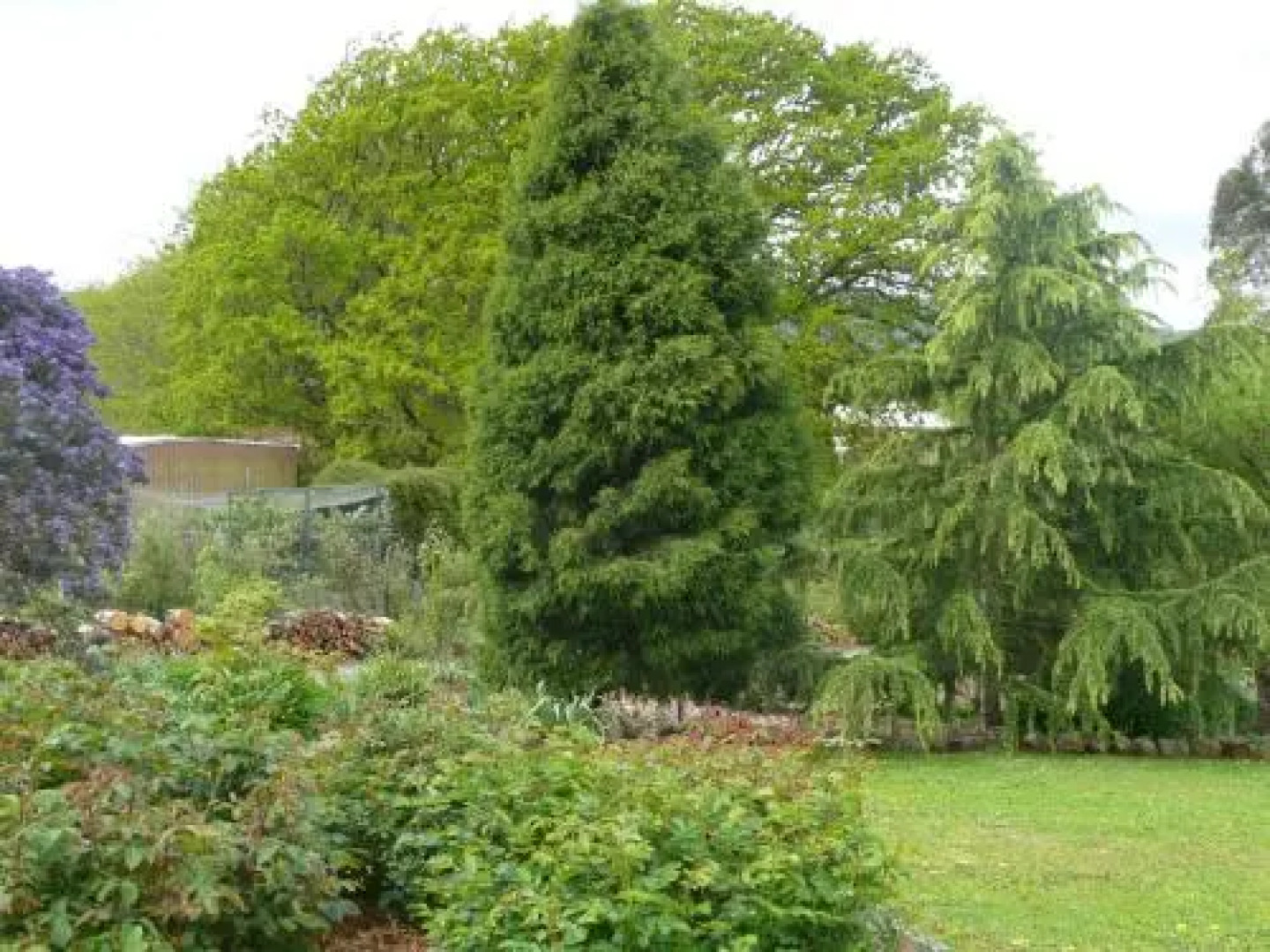 Wisteria Lodge Bed and Breakfast