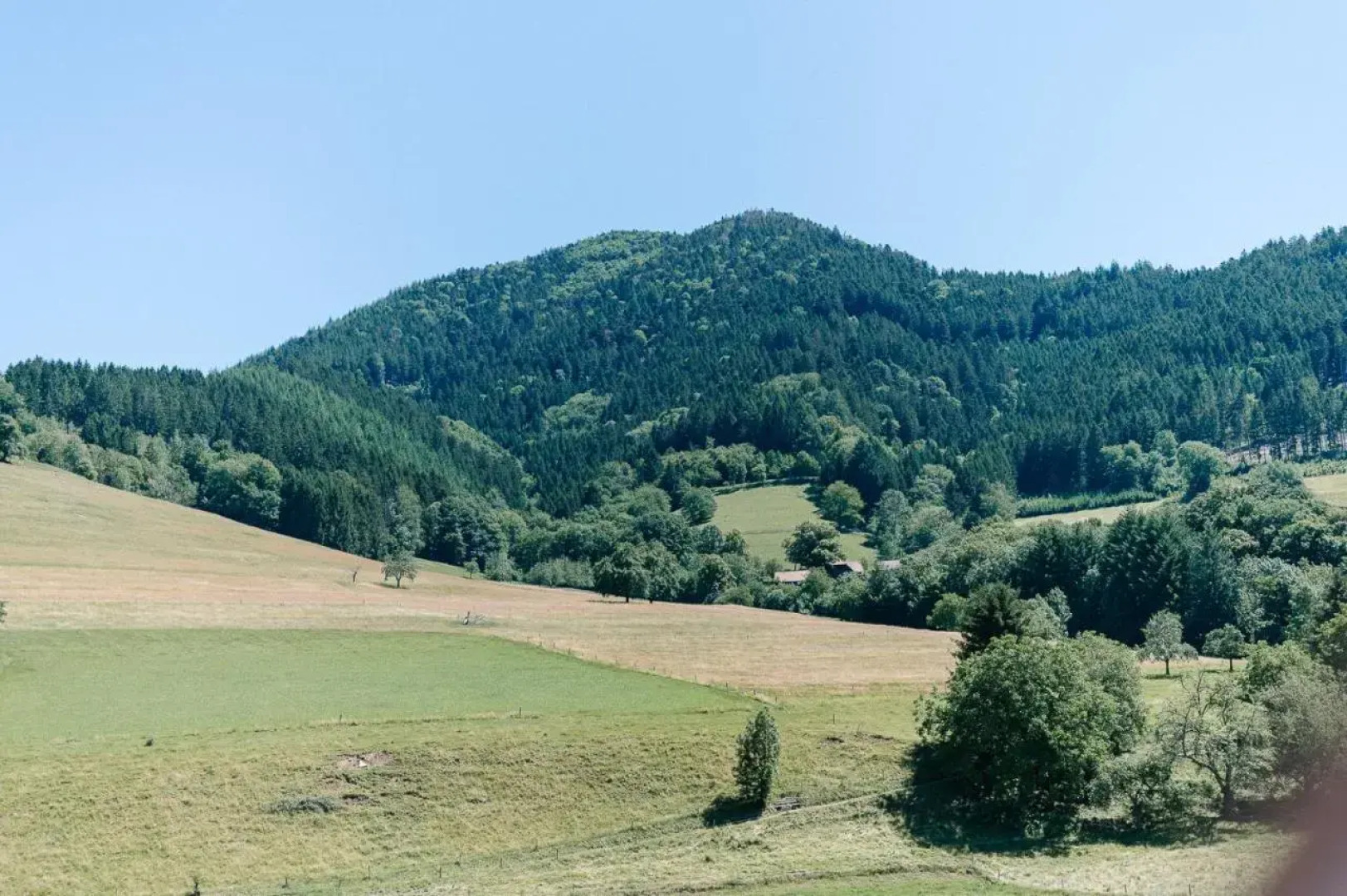 Rustikale 3 Zi.-FeWo Nähe Freiburg 70qm