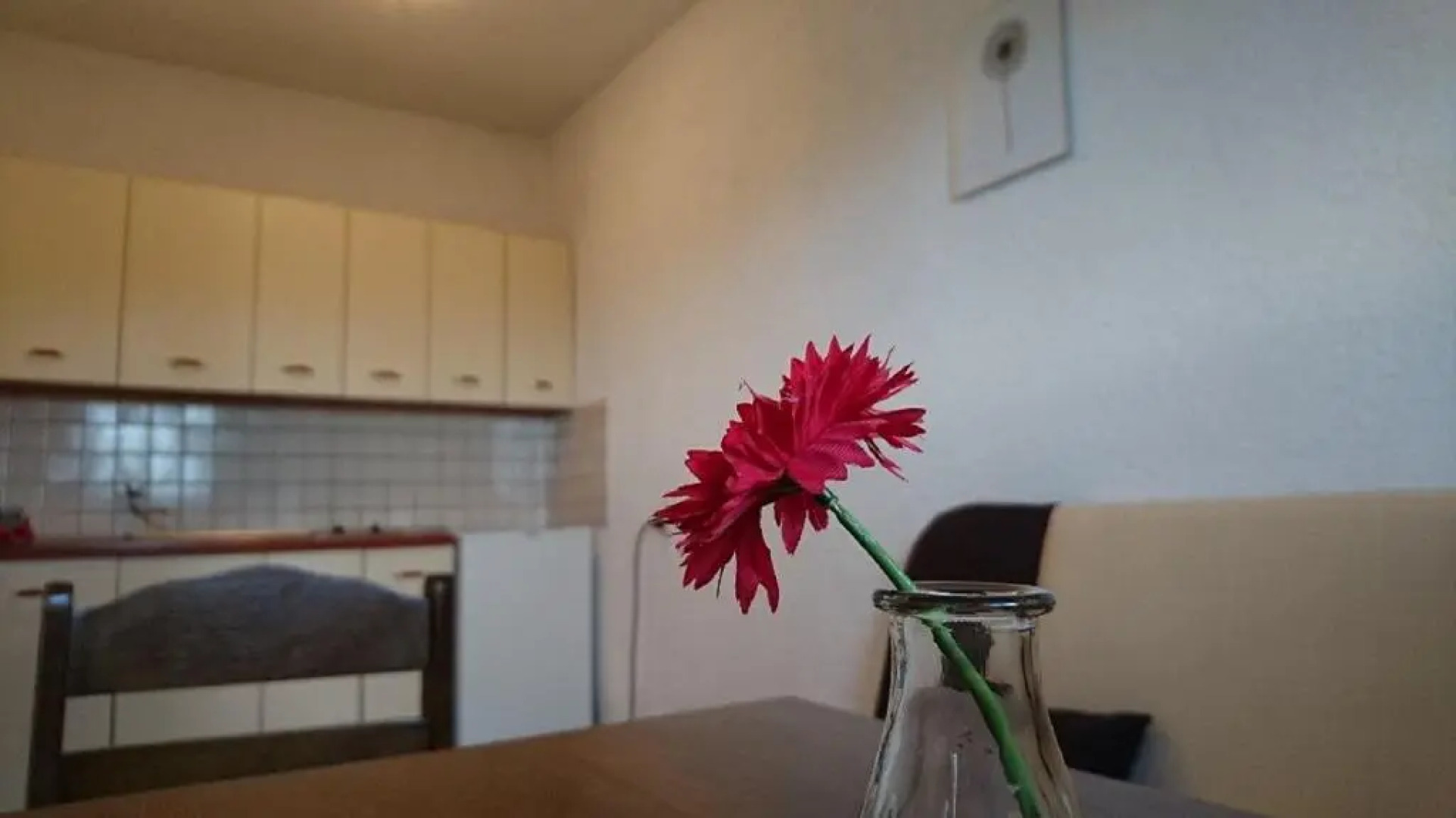 Apartments Monika Nin