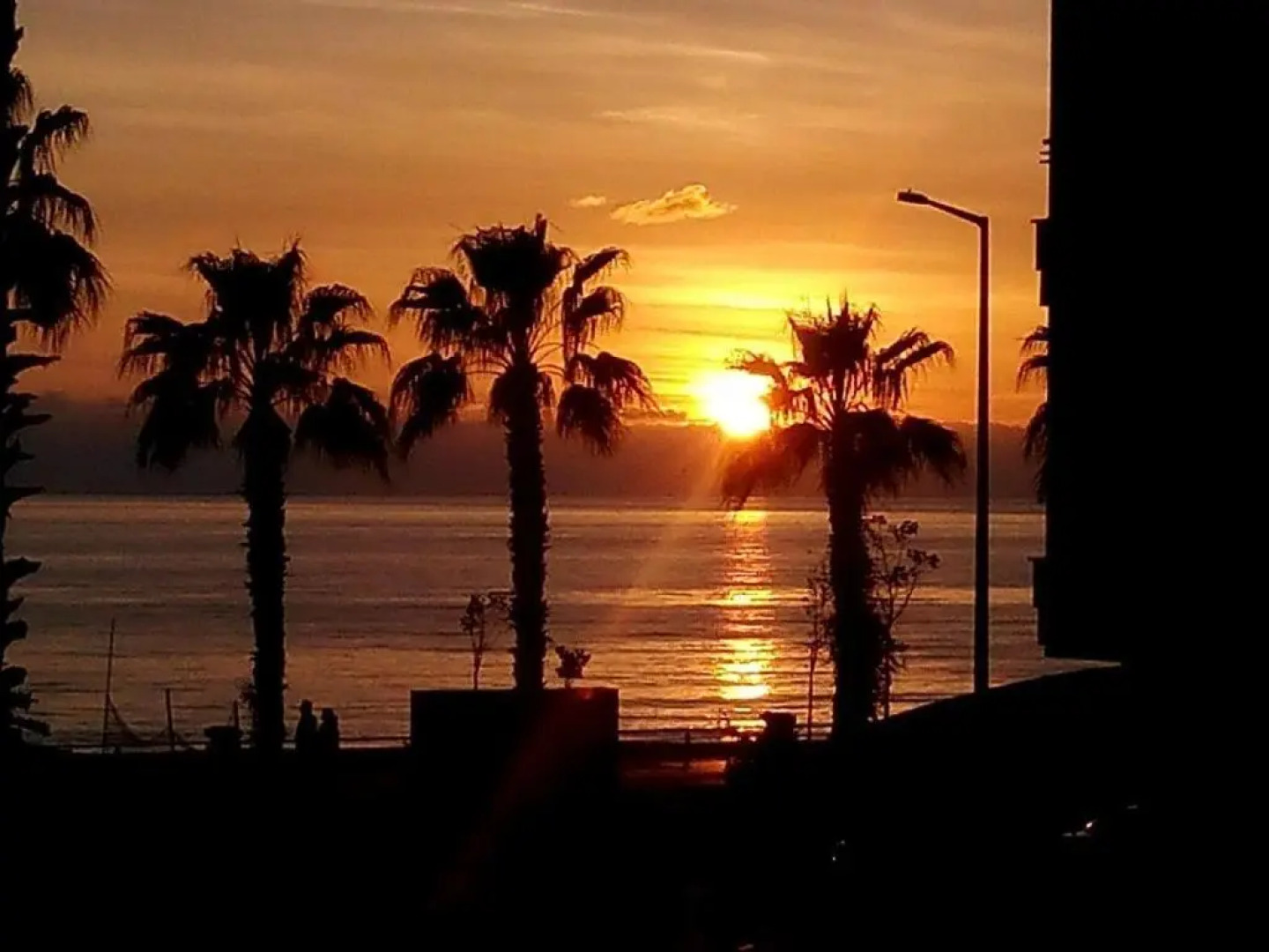 Kleopatra Sahara Otel