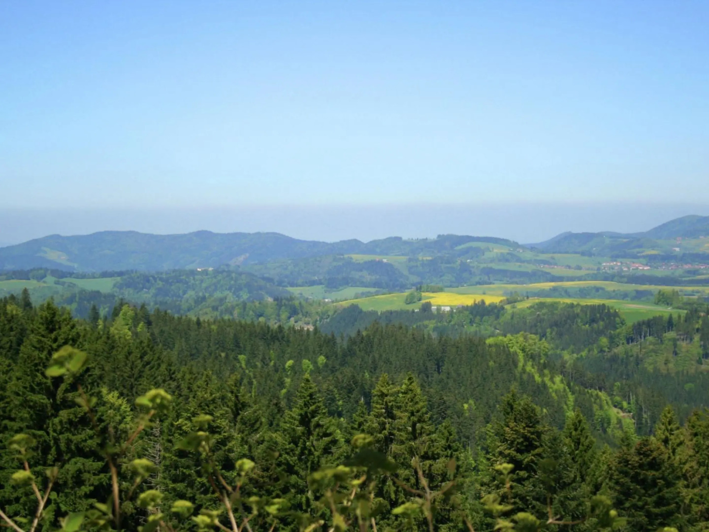 Apartment in Dachsberg-urberg