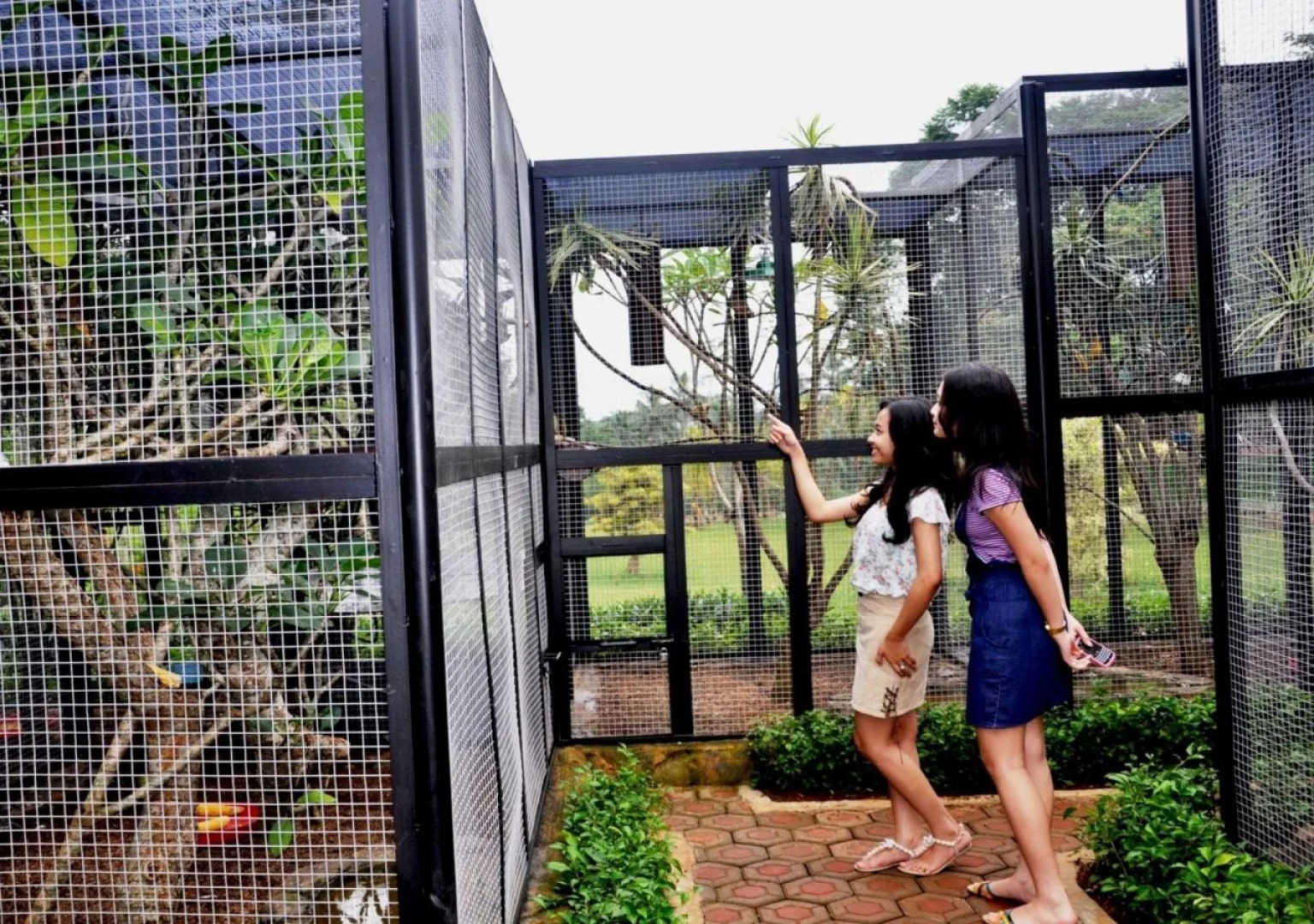 The Jhons Cianjur Aquatic Resort