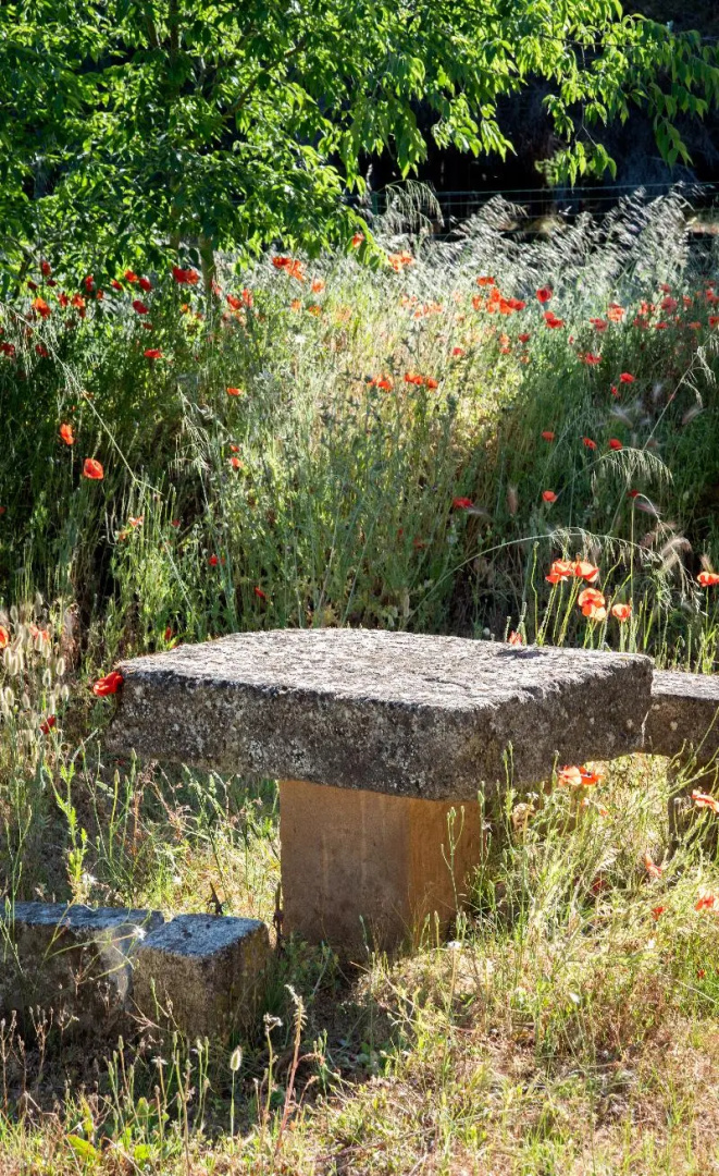 Soko Hotels Pont du Gard