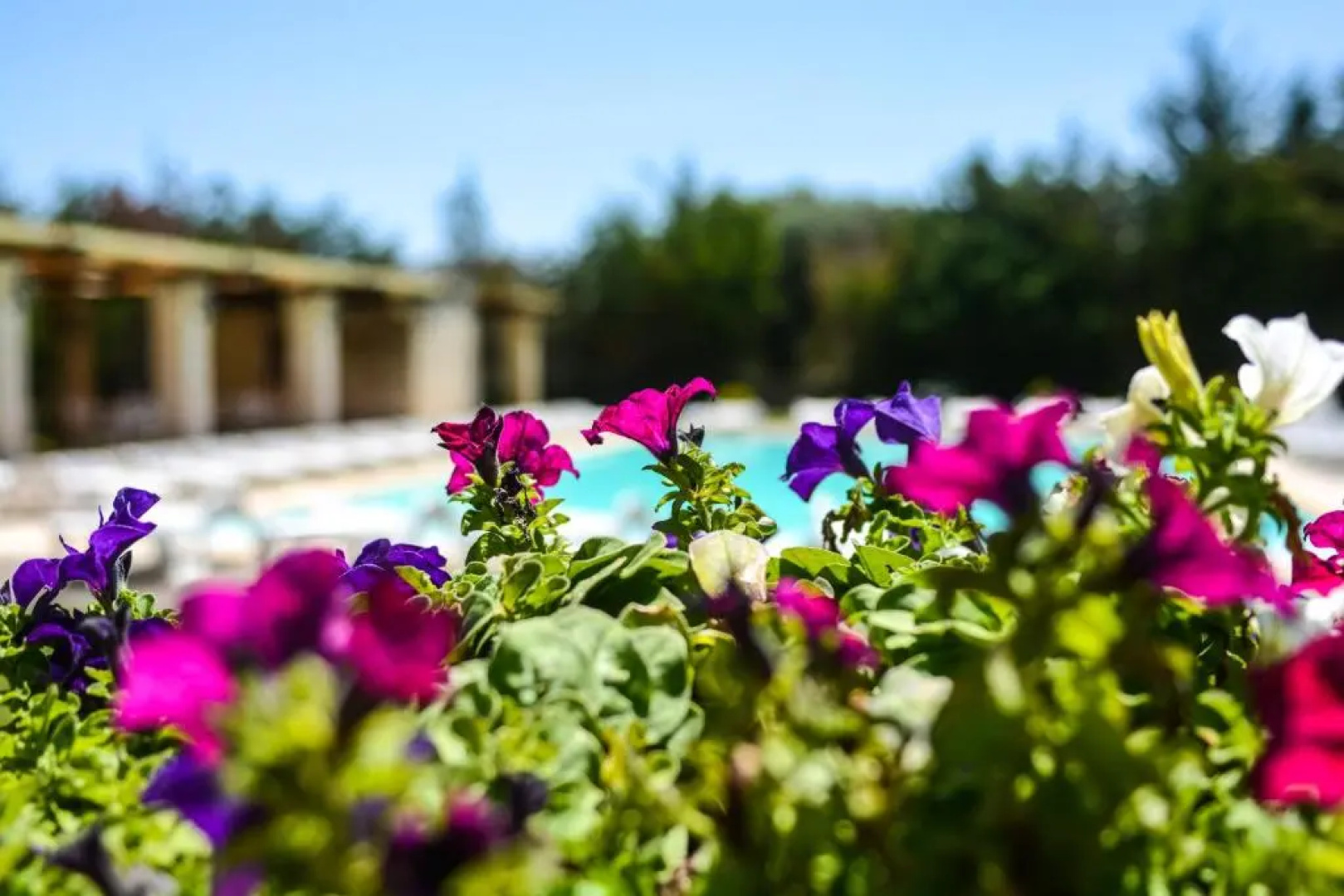 Tenuta Santicuti