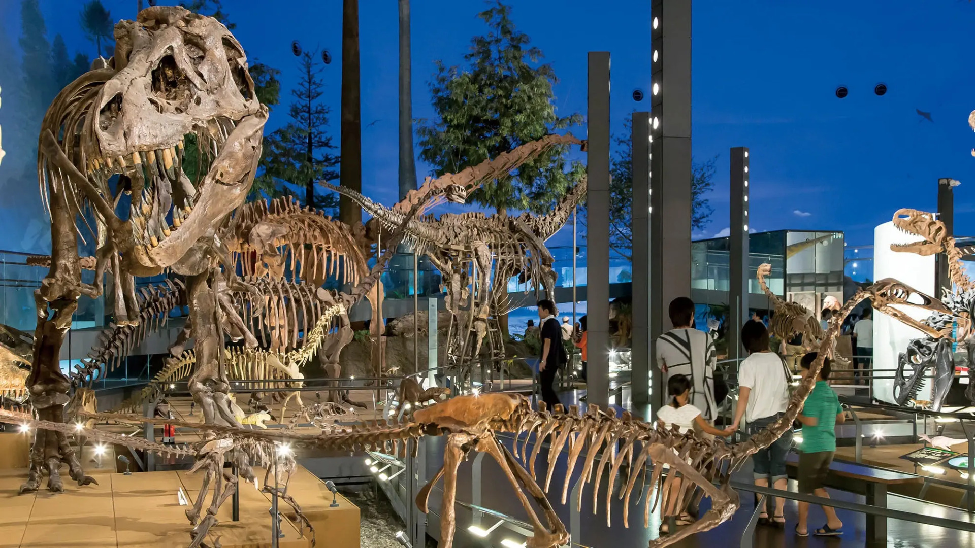 Ooedo-Onsen Monogatari Hotel Awara