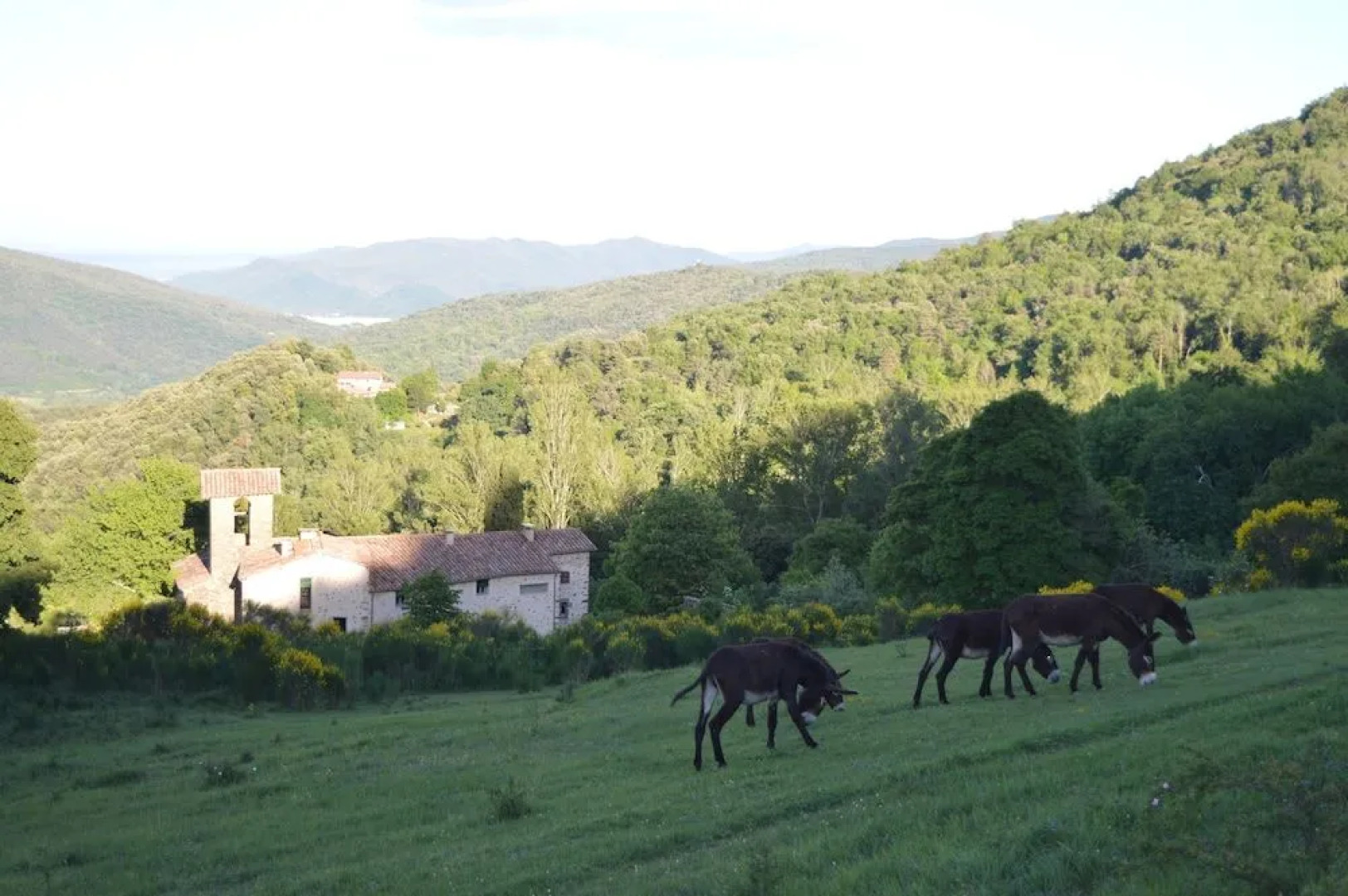Rectora de Castellar