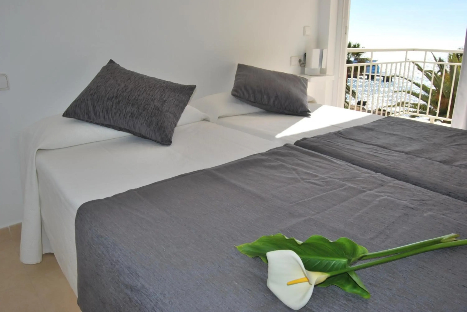 Apartamentos Alborada