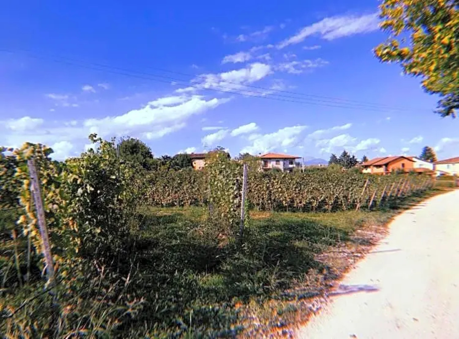 Appartamenti Orchidea