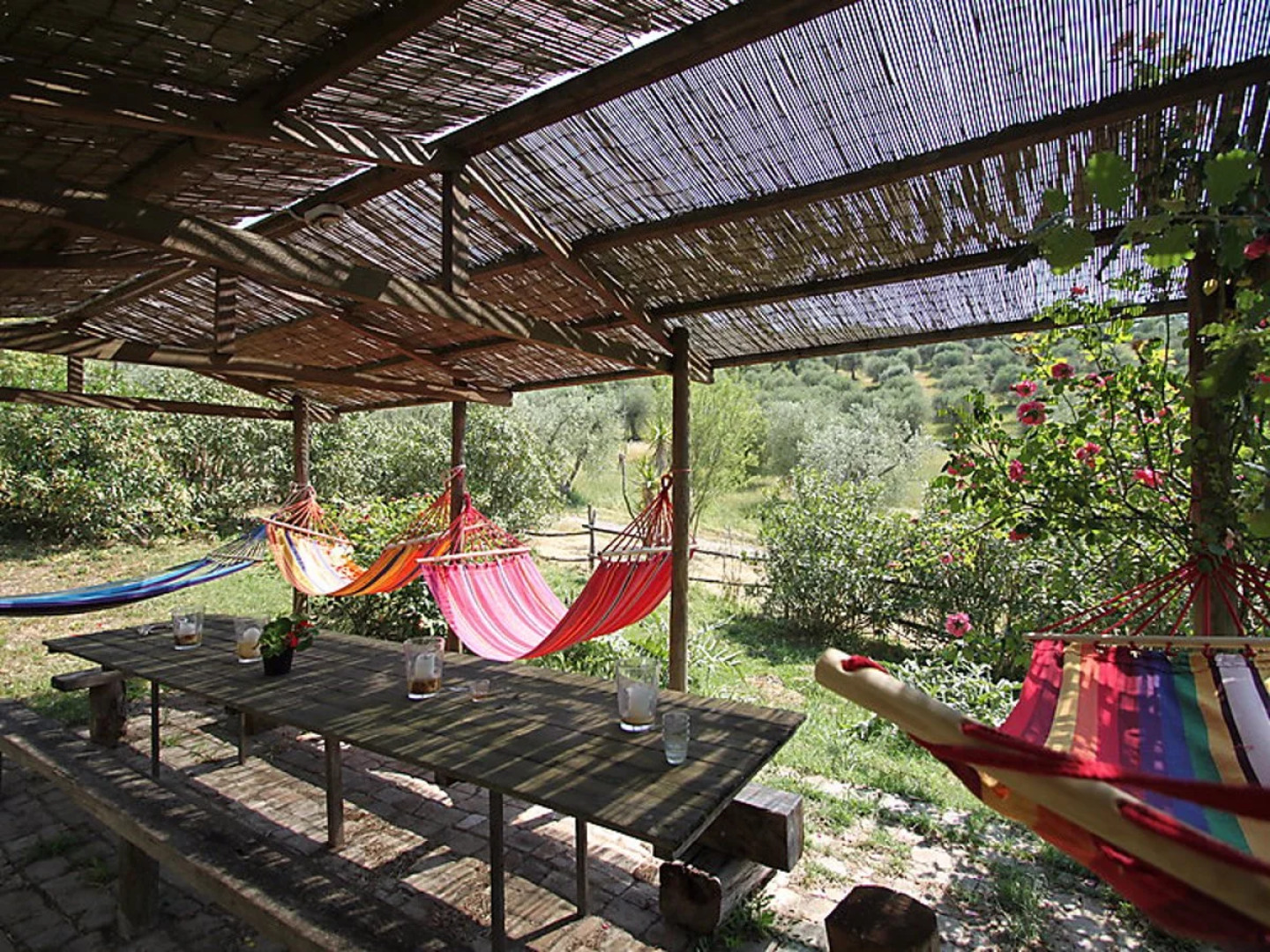 House Olivo Grosseto