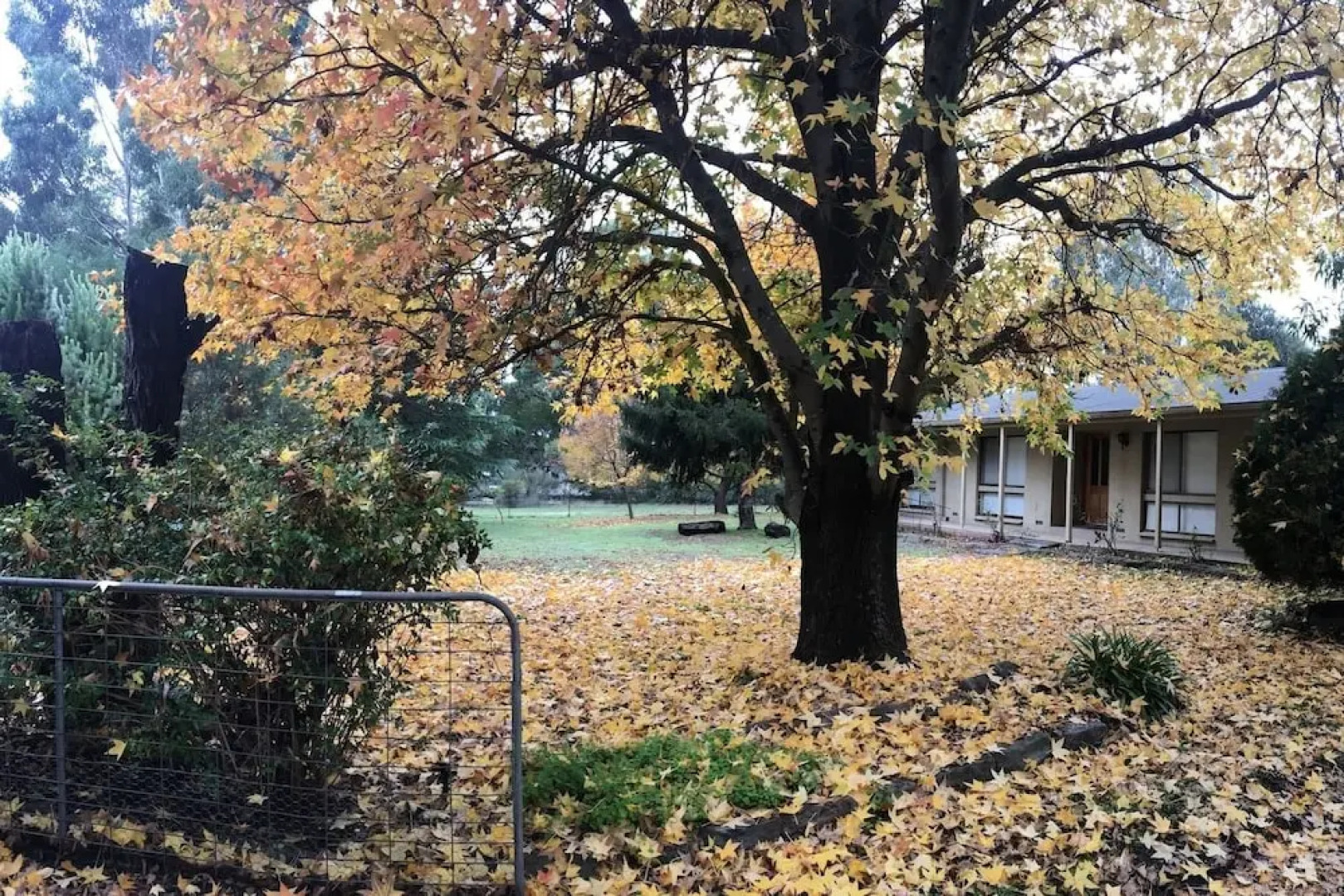 The Rocks Apartments