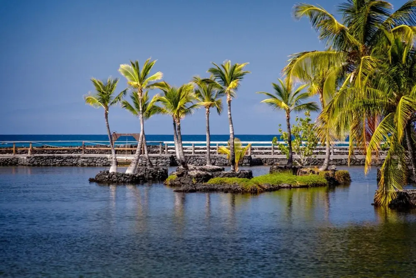 Mauna Lani Terrace Condominium