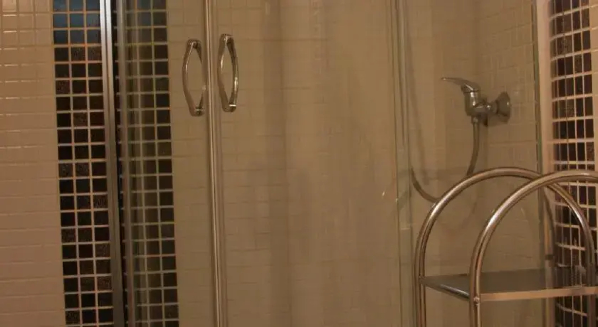 Complex Stejeris-Vatman Mures